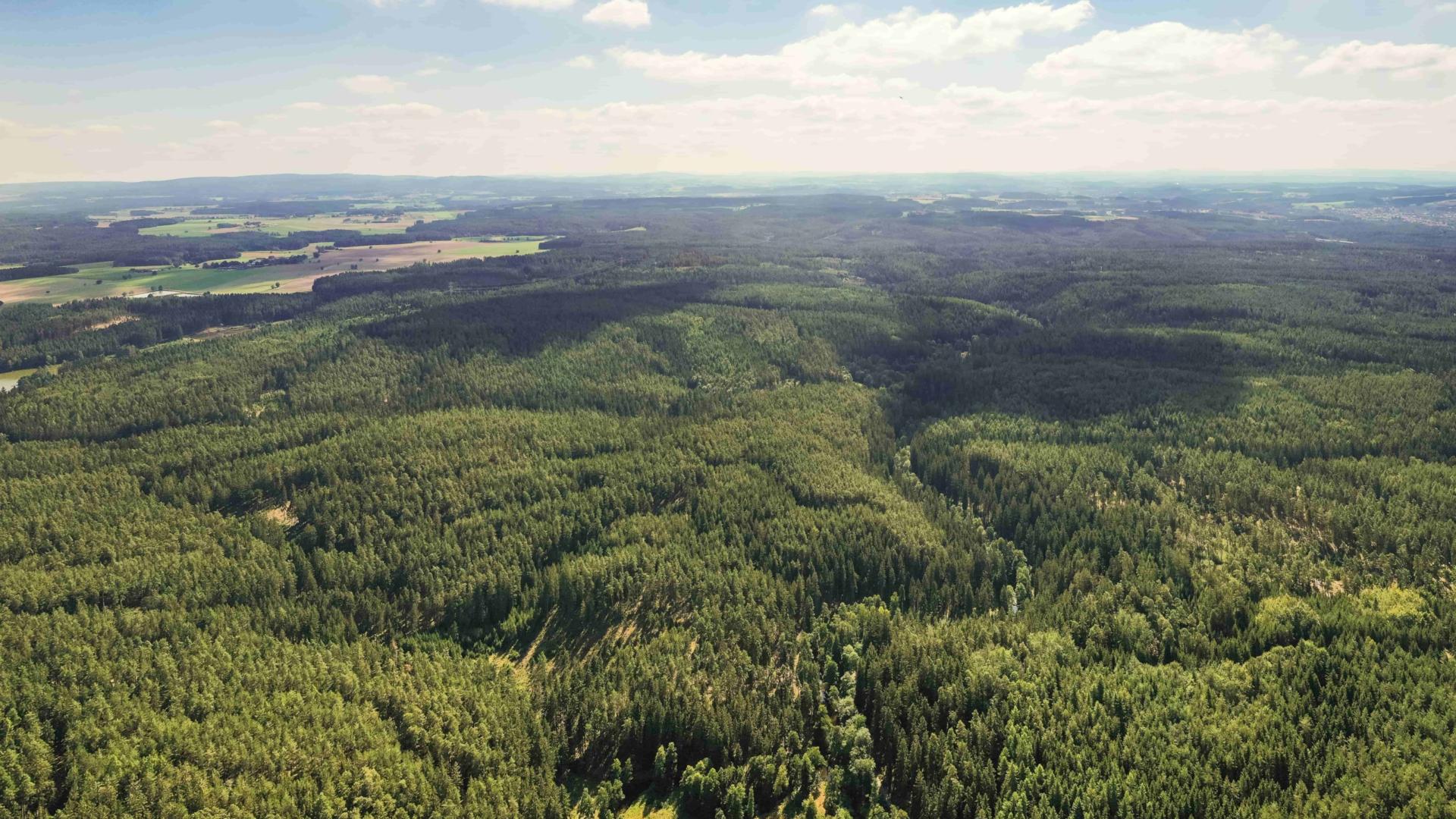 Oberpfälzer Mundart Heimat verbindet